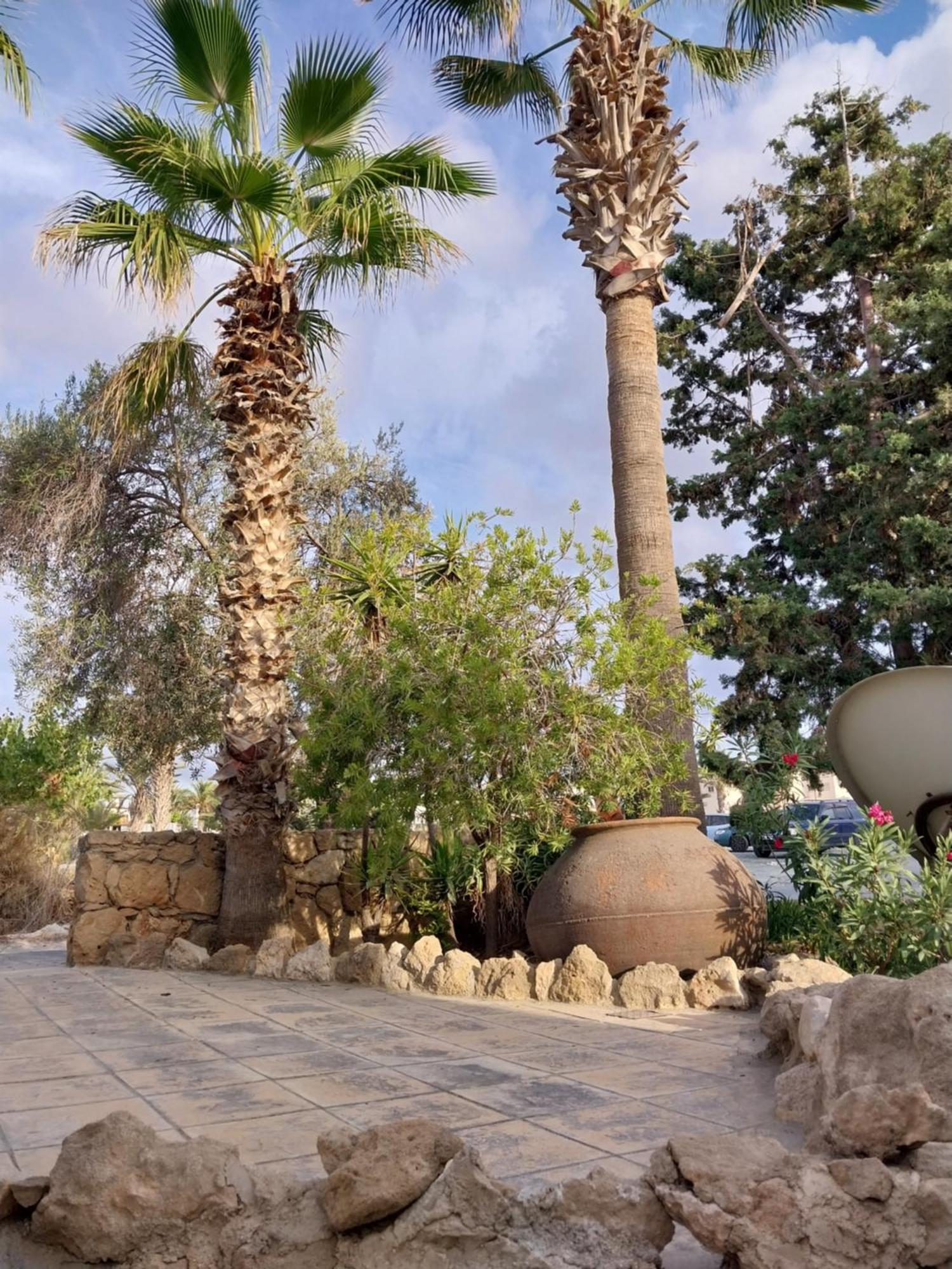 Villa Margo By The Sea Paphos
